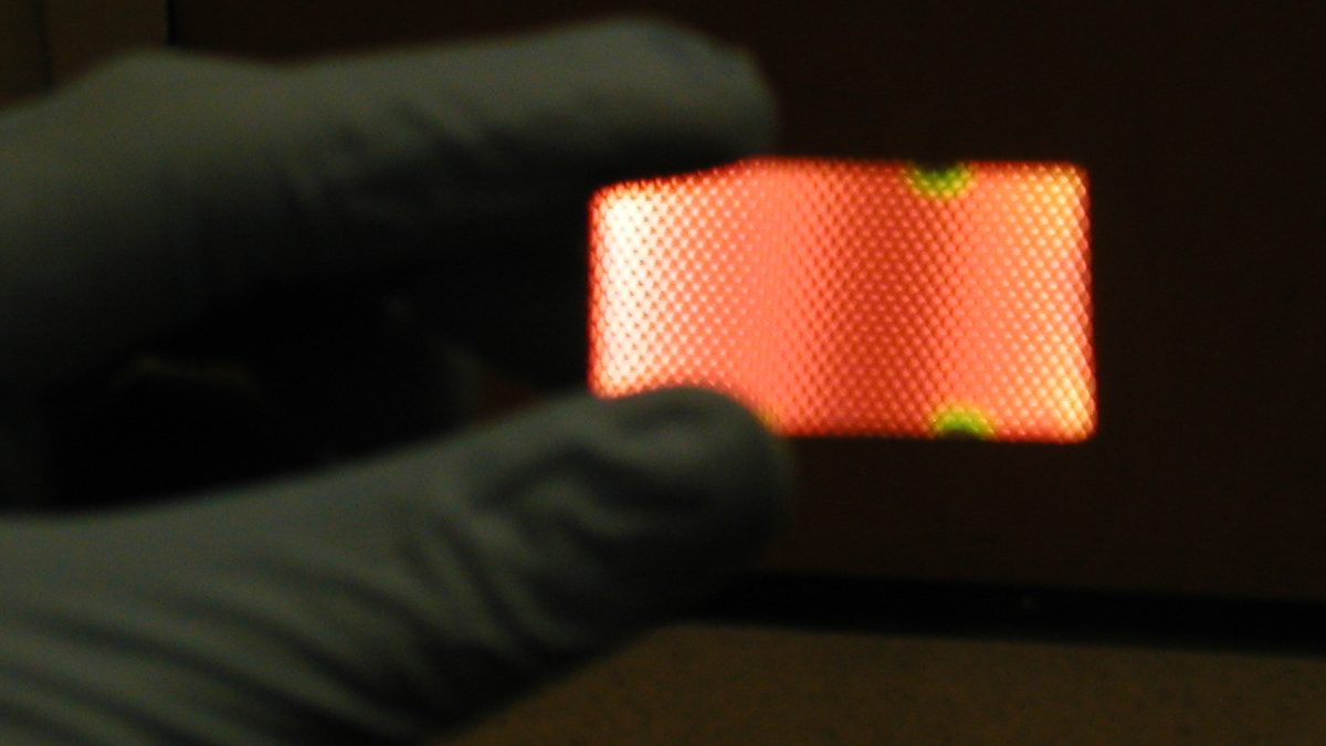 The coated slide held in a gloved hand, reflecting orange.